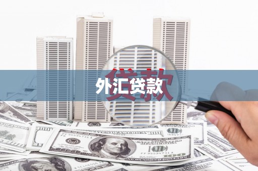 杭锦后旗外汇贷款