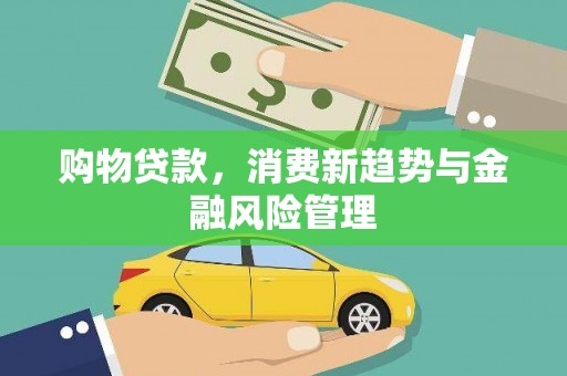 杭锦后旗购物贷款，消费新趋势与金融风险管理