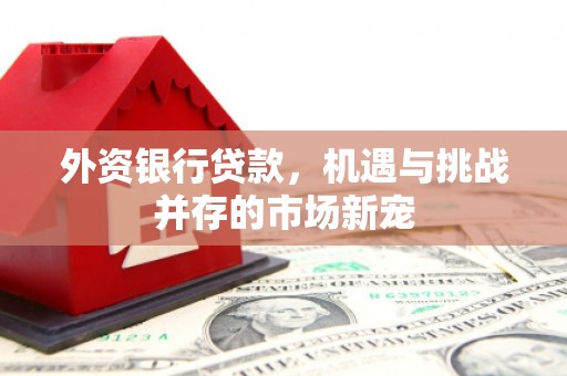 杭锦后旗外资银行贷款，机遇与挑战并存的市场新宠