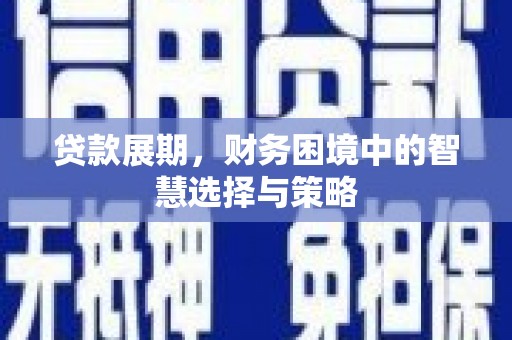 杭锦后旗贷款展期，财务困境中的智慧选择与策略