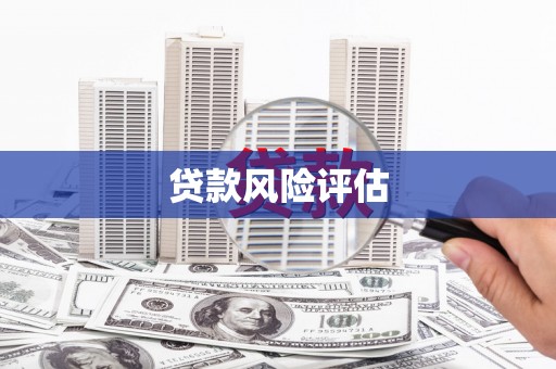 杭锦后旗贷款风险评估