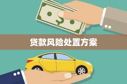 杭锦后旗贷款风险处置方案