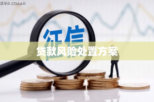 杭锦后旗贷款风险处置方案