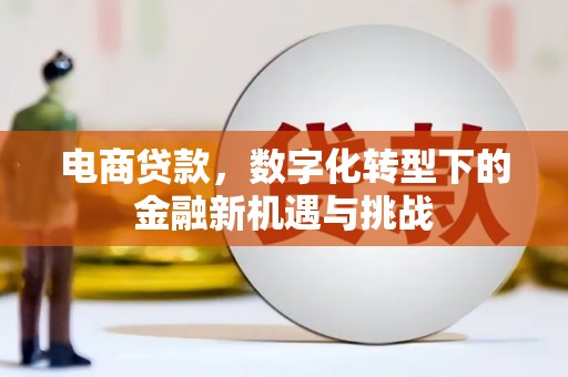 杭锦后旗电商贷款，数字化转型下的金融新机遇与挑战