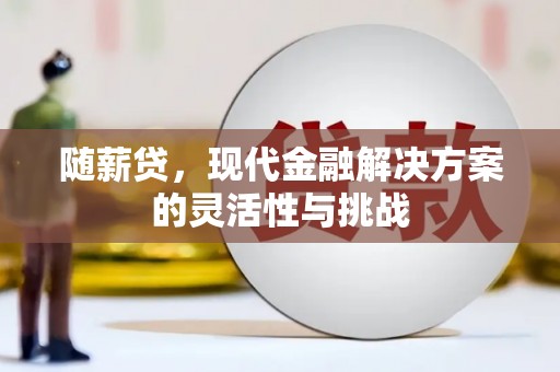 杭锦后旗随薪贷，现代金融解决方案的灵活性与挑战