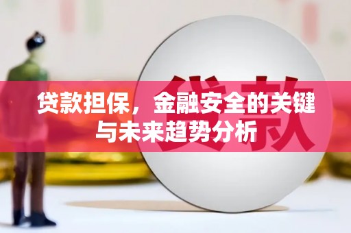 杭锦后旗贷款担保，金融安全的关键与未来趋势分析
