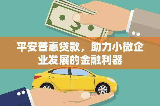 杭锦后旗平安普惠贷款，助力小微企业发展的金融利器