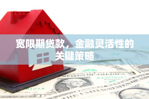 杭锦后旗宽限期贷款，金融灵活性的关键策略