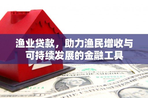 杭锦后旗渔业贷款，助力渔民增收与可持续发展的金融工具