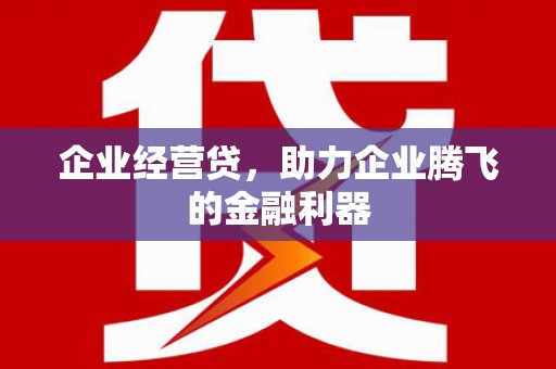 杭锦后旗企业经营贷，助力企业腾飞的金融利器