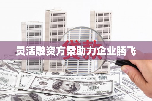 杭锦后旗灵活融资方案助力企业腾飞