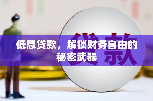 杭锦后旗低息贷款，解锁财务自由的秘密武器
