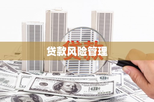 杭锦后旗贷款风险管理