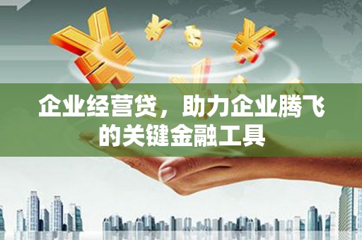 杭锦后旗企业经营贷，助力企业腾飞的关键金融工具