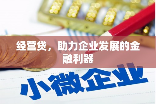 杭锦后旗经营贷，助力企业发展的金融利器