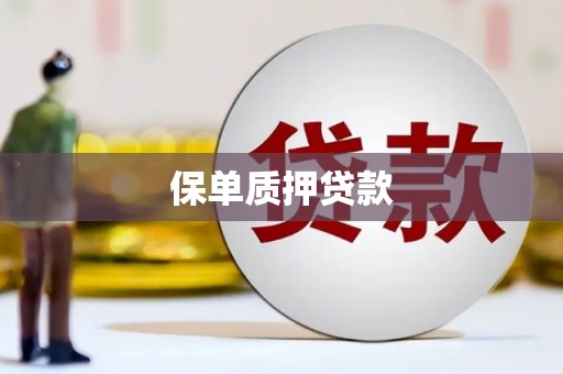 杭锦后旗保单质押贷款