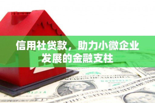杭锦后旗信用社贷款，助力小微企业发展的金融支柱