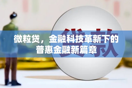 杭锦后旗微粒贷，金融科技革新下的普惠金融新篇章