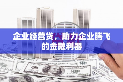 杭锦后旗企业经营贷，助力企业腾飞的金融利器