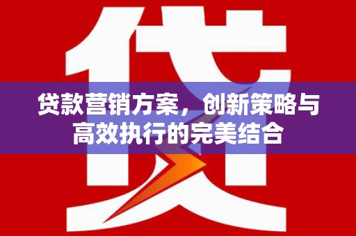 杭锦后旗贷款营销方案，创新策略与高效执行的完美结合
