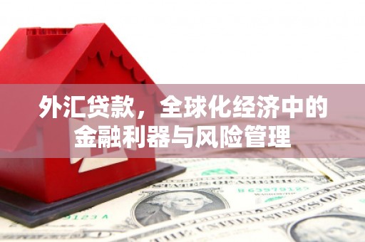 杭锦后旗外汇贷款，全球化经济中的金融利器与风险管理