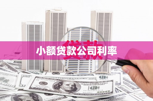 杭锦后旗小额贷款公司利率