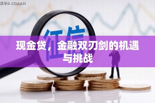 杭锦后旗现金贷，金融双刃剑的机遇与挑战