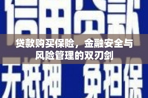 杭锦后旗贷款购买保险，金融安全与风险管理的双刃剑
