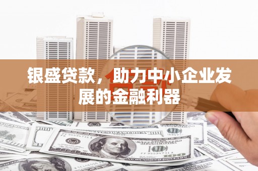 杭锦后旗银盛贷款，助力中小企业发展的金融利器