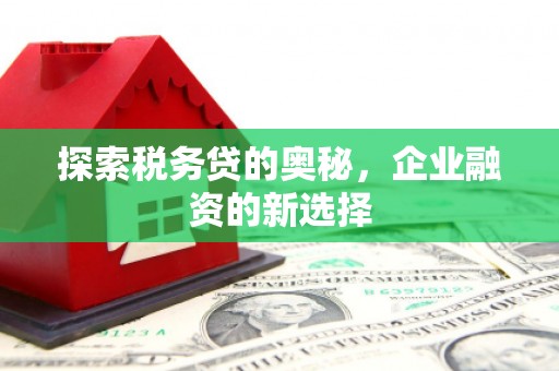 杭锦后旗探索税务贷的奥秘，企业融资的新选择