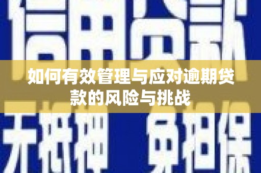 杭锦后旗如何有效管理与应对逾期贷款的风险与挑战