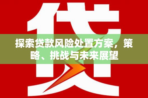 杭锦后旗探索贷款风险处置方案，策略、挑战与未来展望