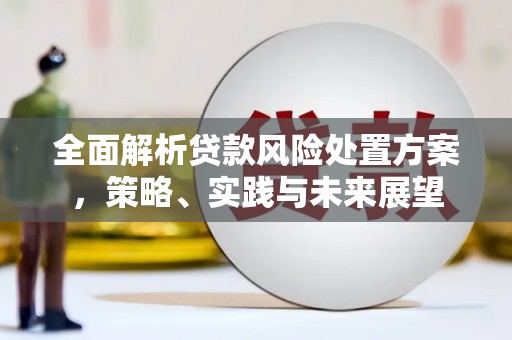 杭锦后旗全面解析贷款风险处置方案，策略、实践与未来展望