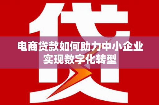 杭锦后旗电商贷款如何助力中小企业实现数字化转型