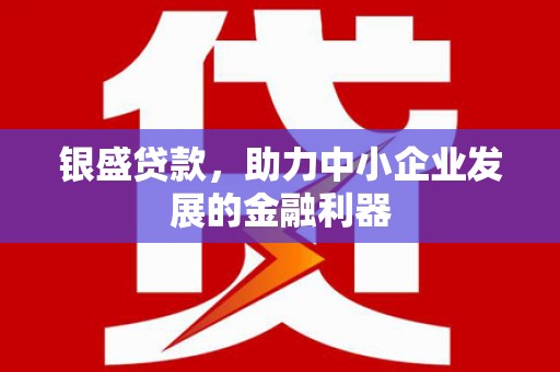 杭锦后旗银盛贷款，助力中小企业发展的金融利器