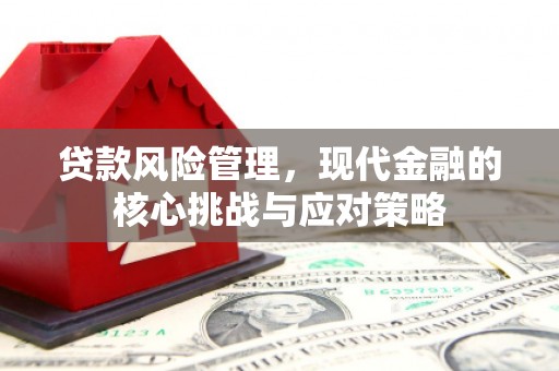 杭锦后旗贷款风险管理，现代金融的核心挑战与应对策略