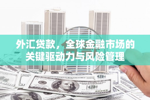 杭锦后旗外汇贷款，全球金融市场的关键驱动力与风险管理