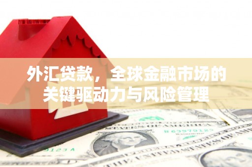 杭锦后旗外汇贷款，全球金融市场的关键驱动力与风险管理