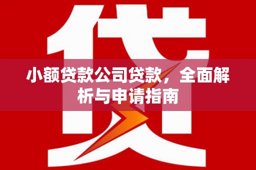 杭锦后旗小额贷款公司贷款，全面解析与申请指南