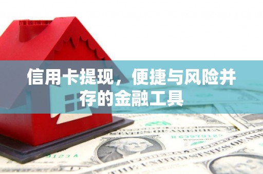 杭锦后旗信用卡提现，便捷与风险并存的金融工具