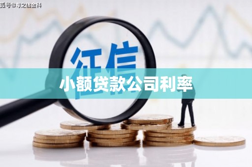 杭锦后旗小额贷款公司利率
