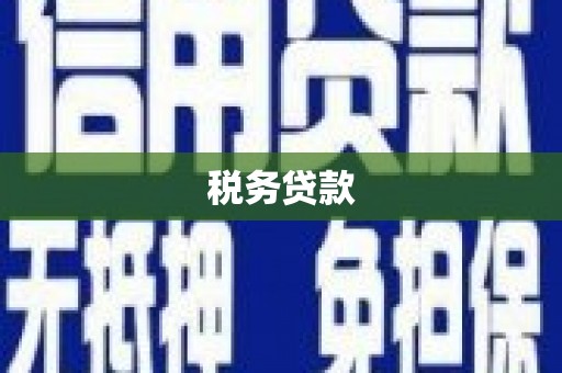 杭锦后旗税务贷款