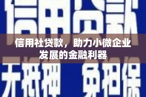 杭锦后旗信用社贷款，助力小微企业发展的金融利器