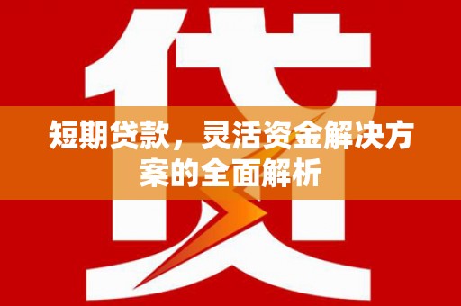 杭锦后旗短期贷款，灵活资金解决方案的全面解析