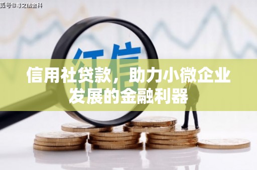 杭锦后旗信用社贷款，助力小微企业发展的金融利器