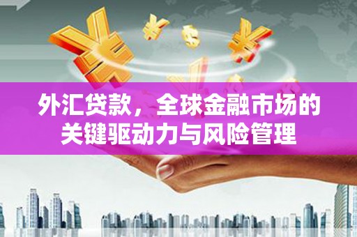 杭锦后旗外汇贷款，全球金融市场的关键驱动力与风险管理