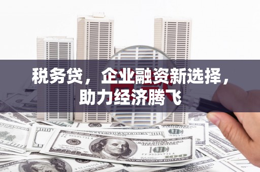 杭锦后旗税务贷，企业融资新选择，助力经济腾飞