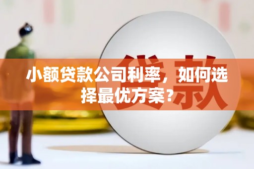 杭锦后旗小额贷款公司利率，如何选择最优方案？