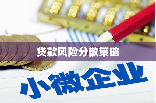 杭锦后旗贷款风险分散策略