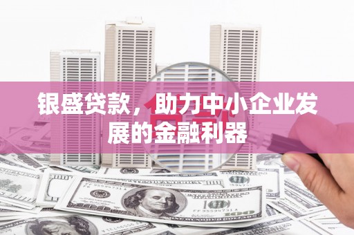 杭锦后旗银盛贷款，助力中小企业发展的金融利器